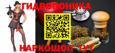 Альфа ПВП Гатчина