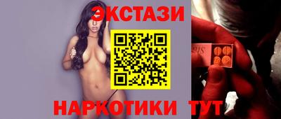 Альфа ПВП Гатчина